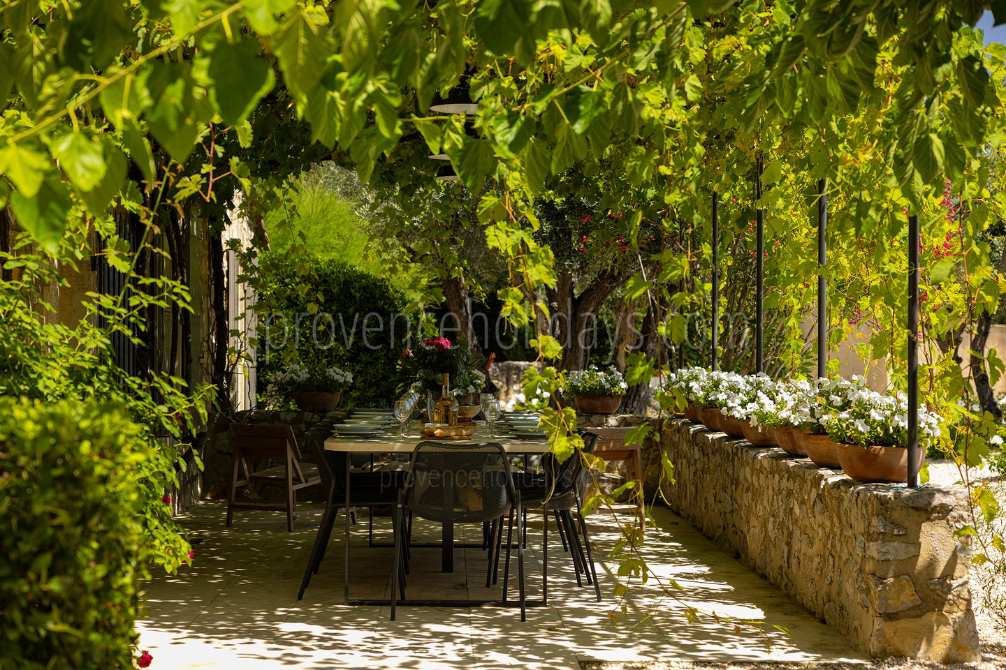 49 - Le Mas des Lauriers: Villa: Exterior
