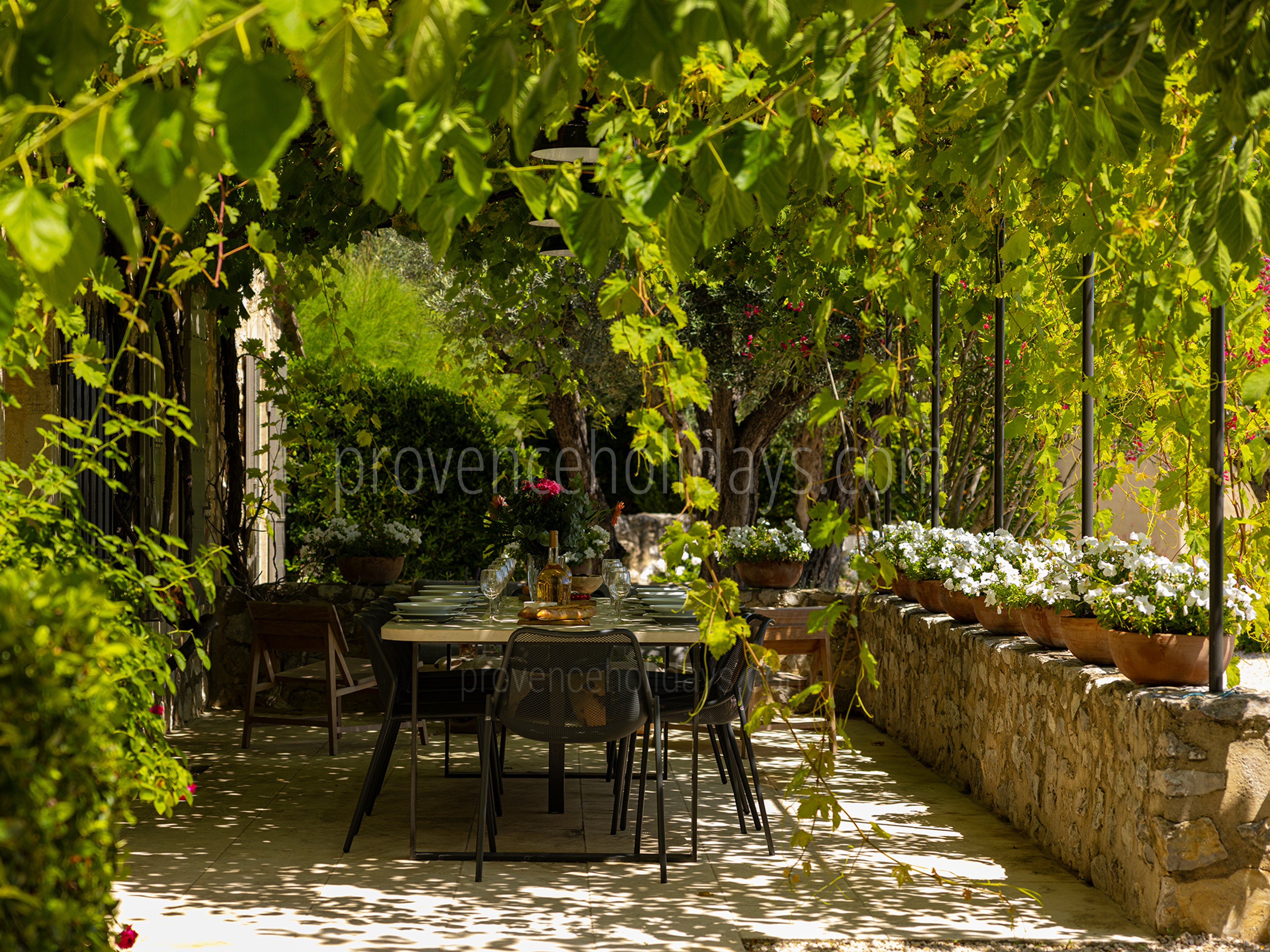 49 - Le Mas des Lauriers: Villa: Exterior