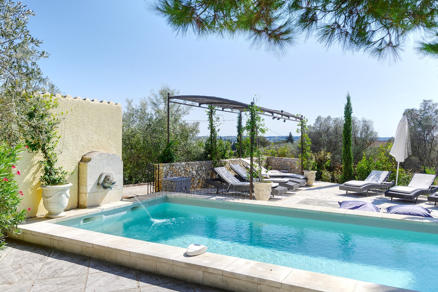 1 - Le Mas des Olives: Villa: Pool