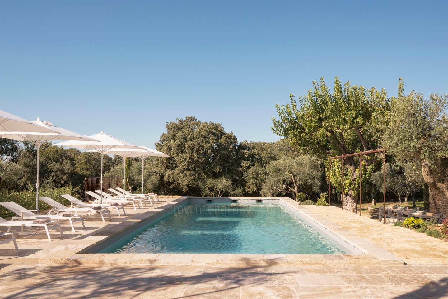 50 - Mas du Verger: Villa: Pool