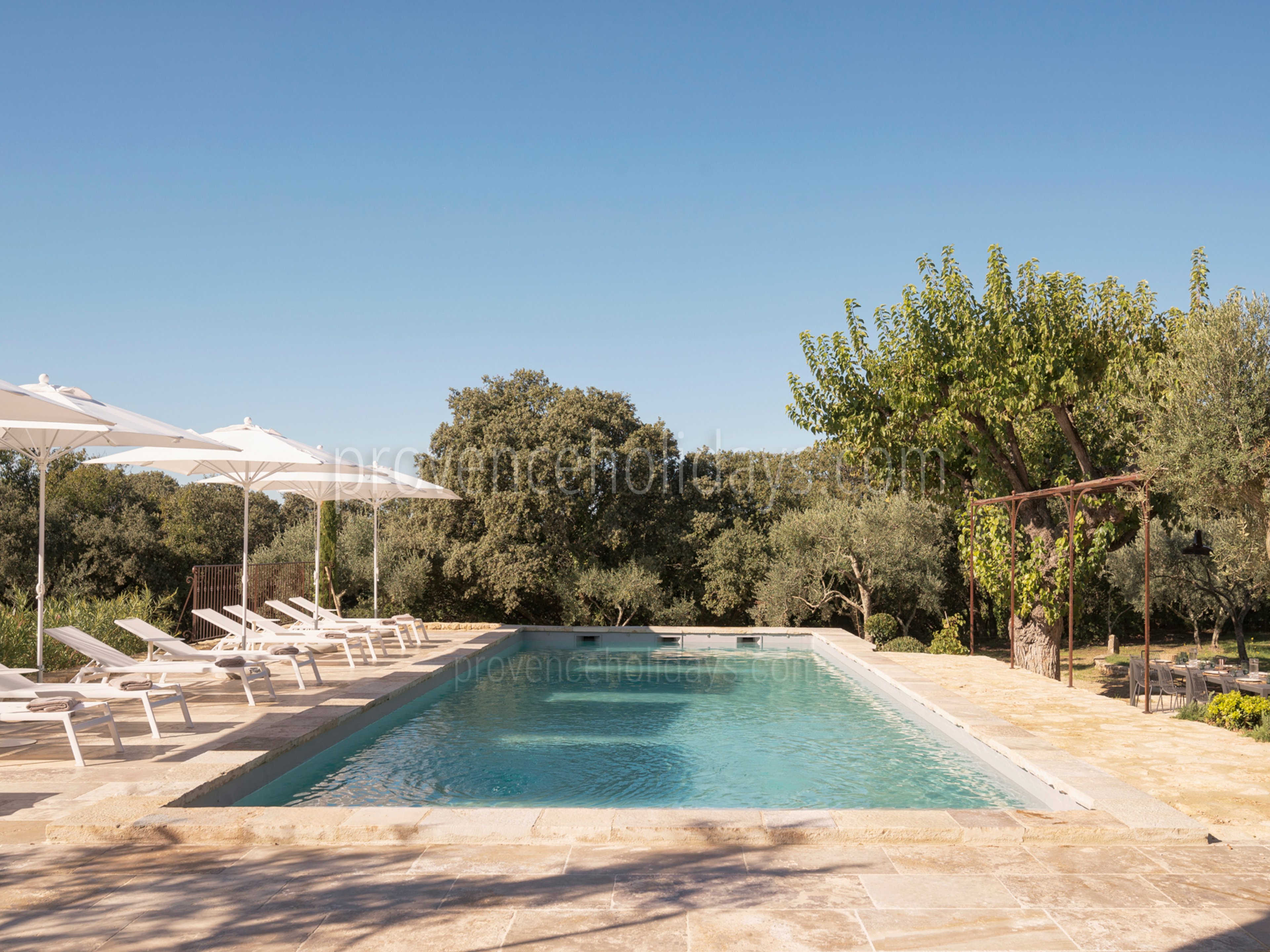 1 - Mas du Verger: Villa: Pool