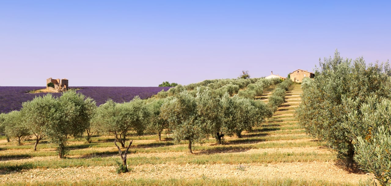 Provence landscape