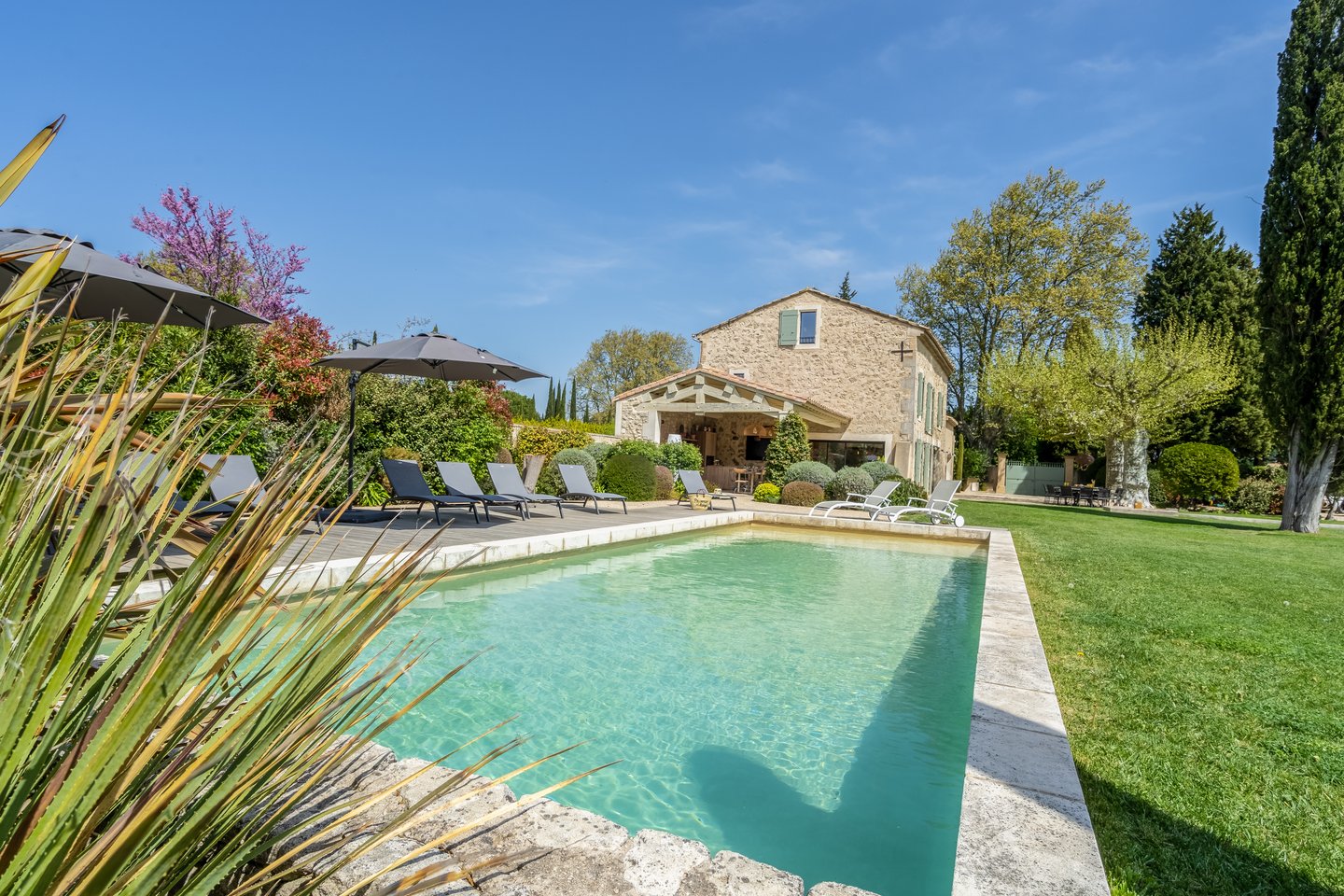 17 - Mas du Ruisseau: Villa: Pool