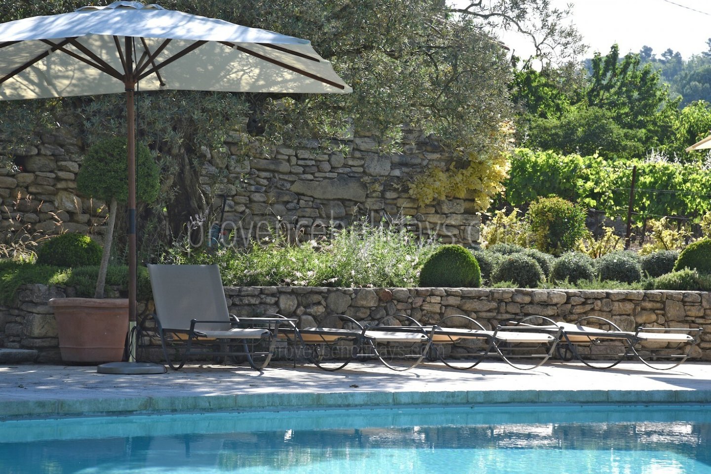 33 - Le Mas des Buis: Villa: Pool