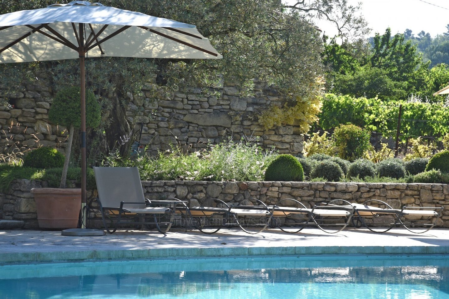 31 - Le Mas des Buis: Villa: Pool