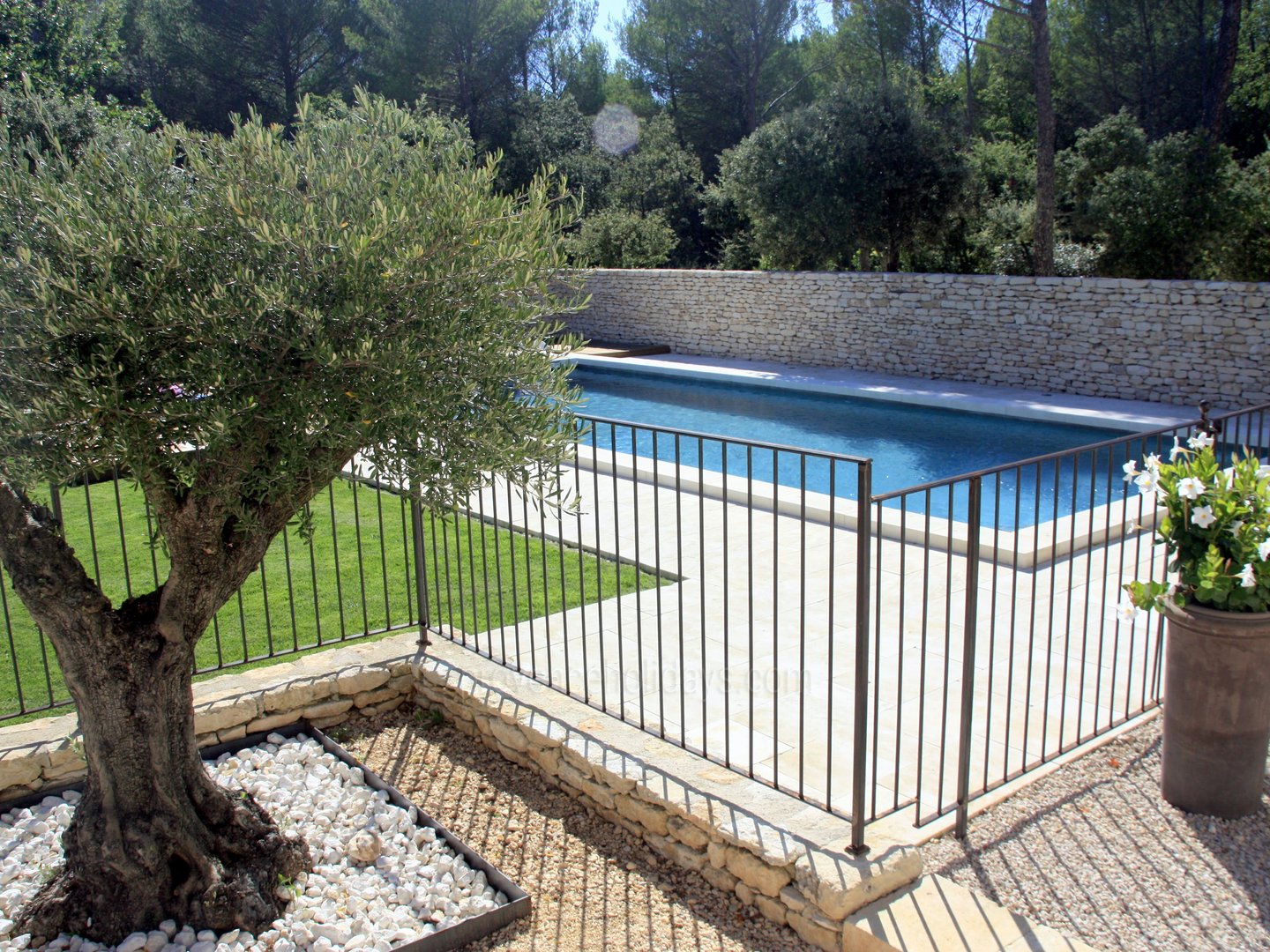 53 - Le Mas de la Pinède: Villa: Pool