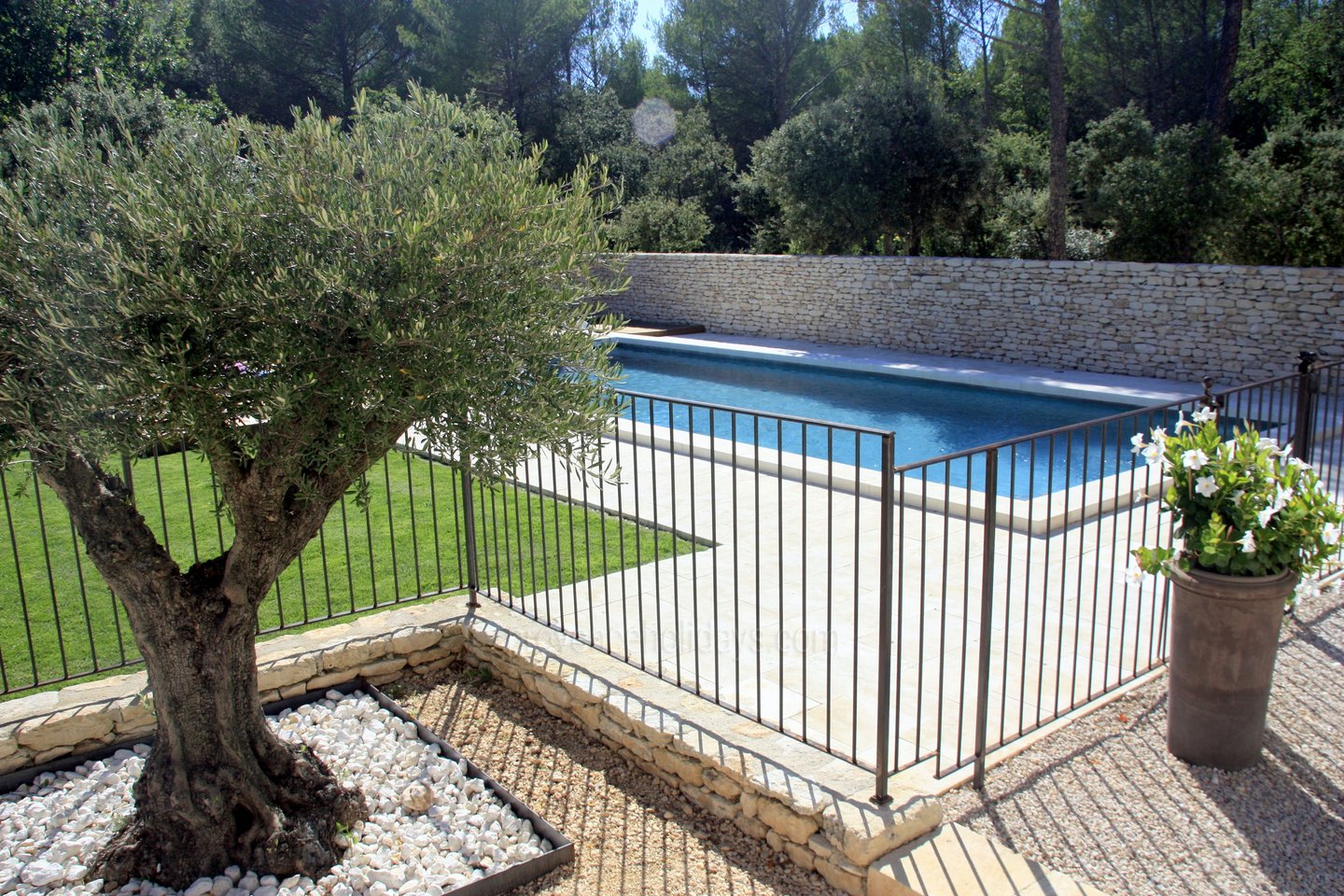 53 - Le Mas de la Pinède: Villa: Pool