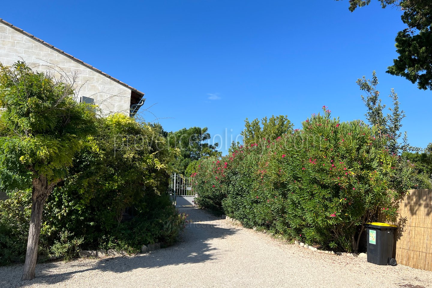48 - Villa Ella: Villa: Exterior