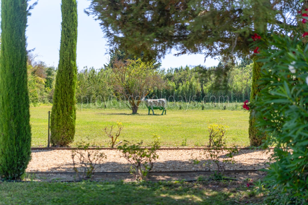86 - Mas des Vignes: Villa: Exterior