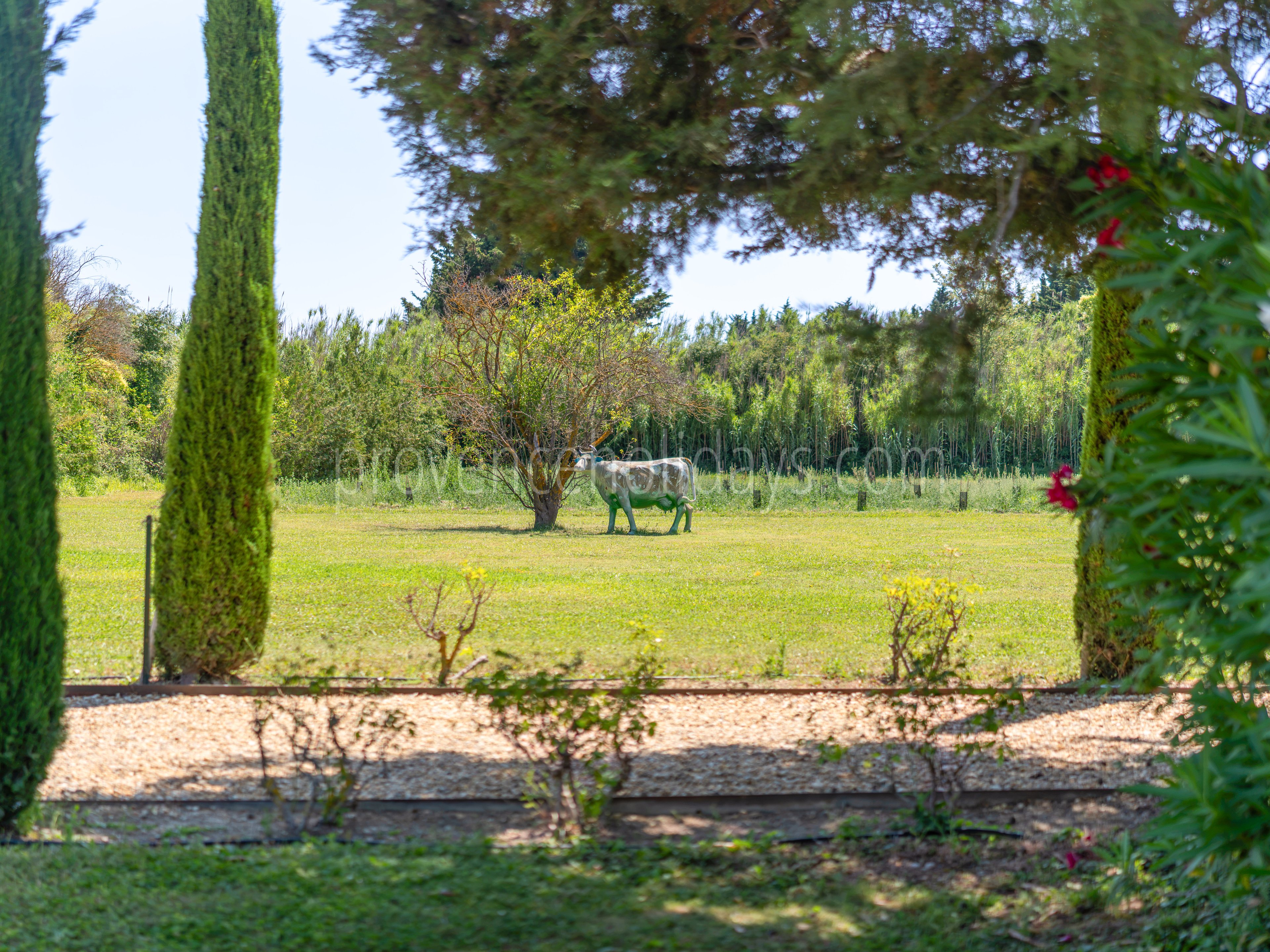 86 - Mas des Vignes: Villa: Exterior