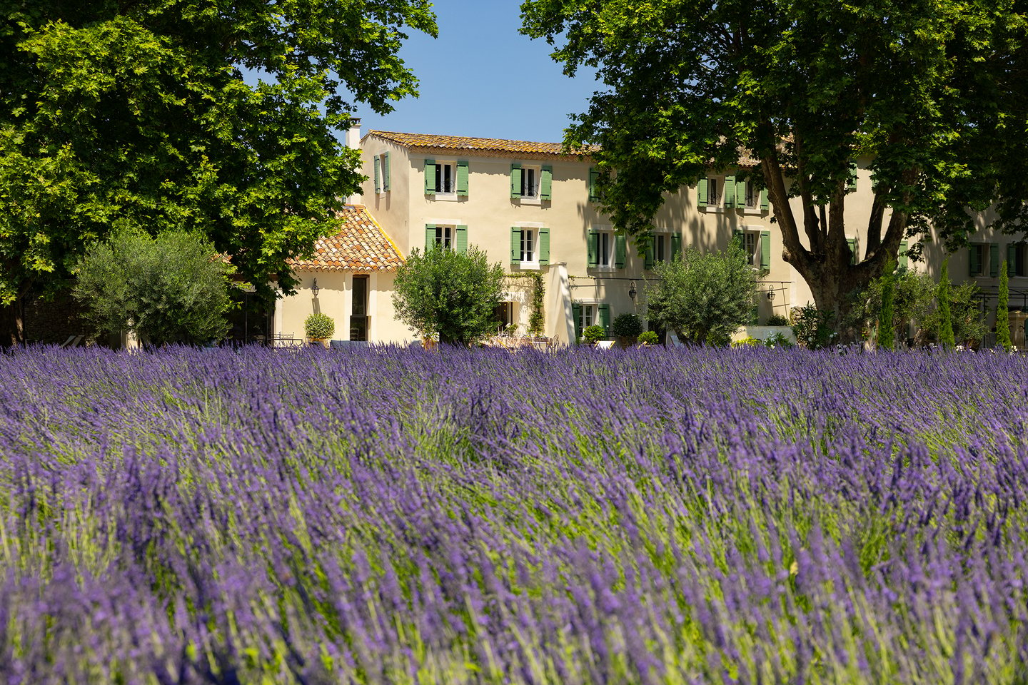 2 - La Bastide Lavande: Villa: Exterior