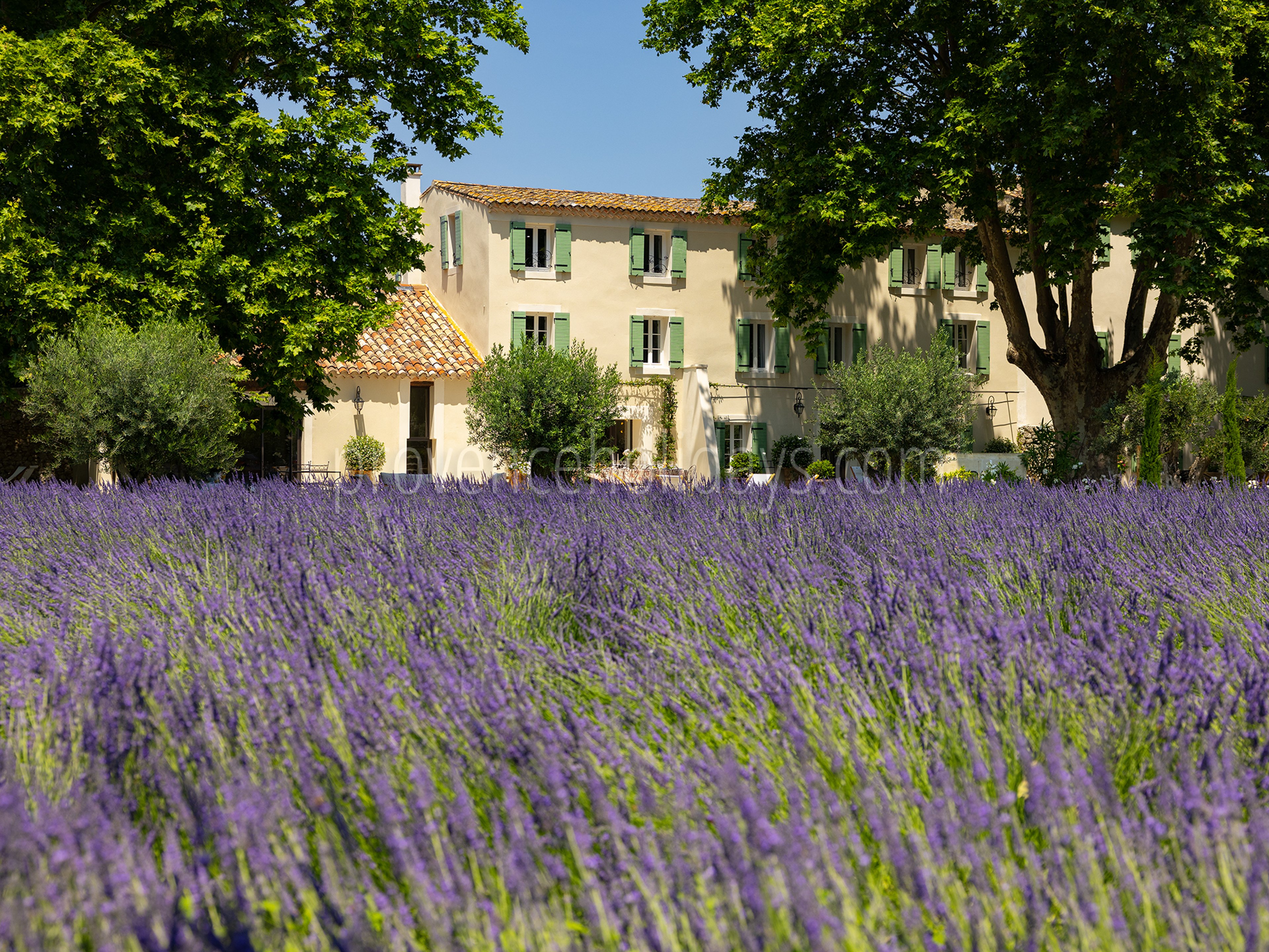 1 - La Bastide Lavande: Villa: Exterior