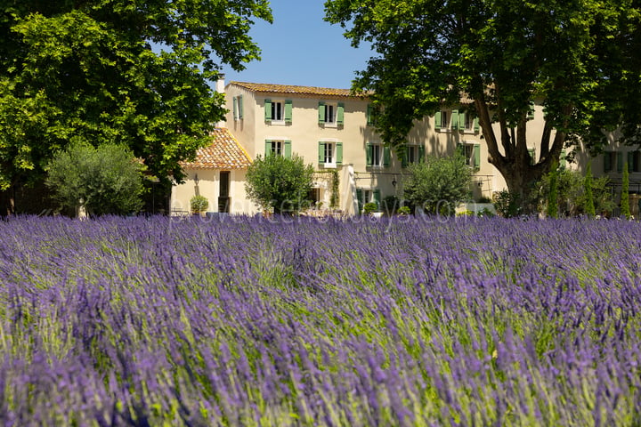 La Bastide Lavande