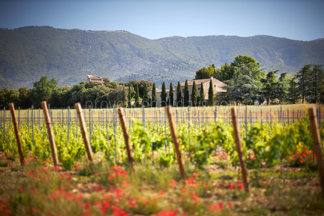 106 - Domaine de Luberon: Villa: Exterior
