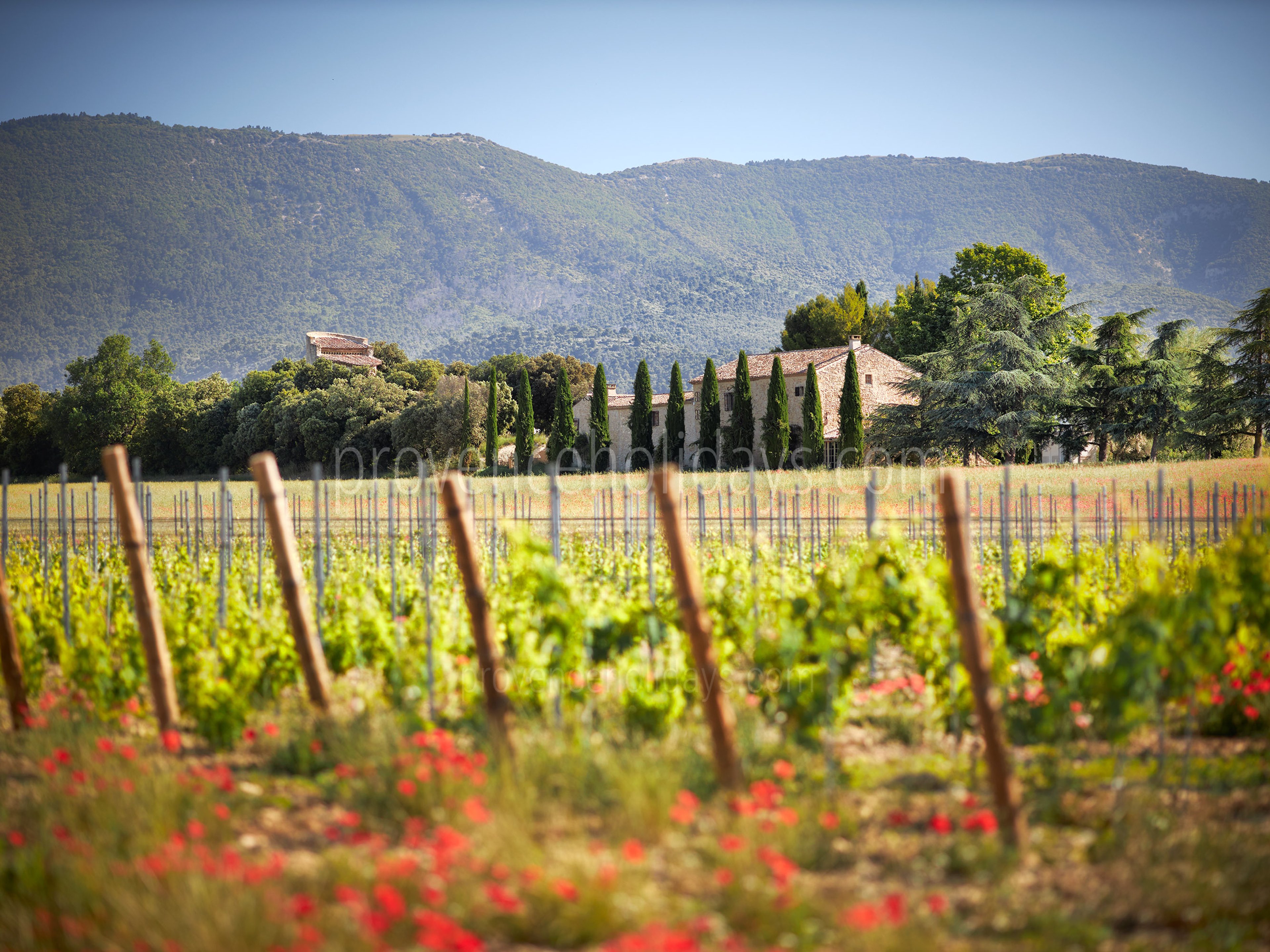 106 - Domaine de Luberon: Villa: Exterior