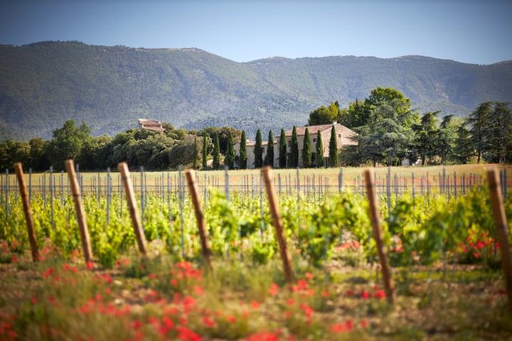 106 - Domaine de Luberon: Villa: Exterior