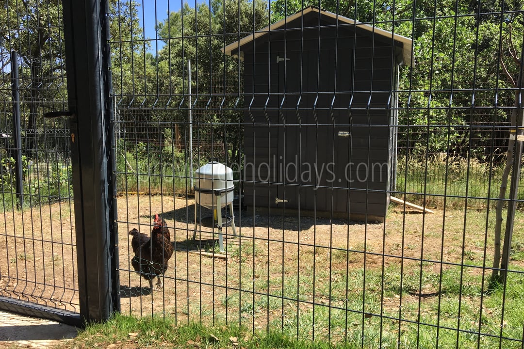 18 - Le Mas Provençal: Villa: Exterior