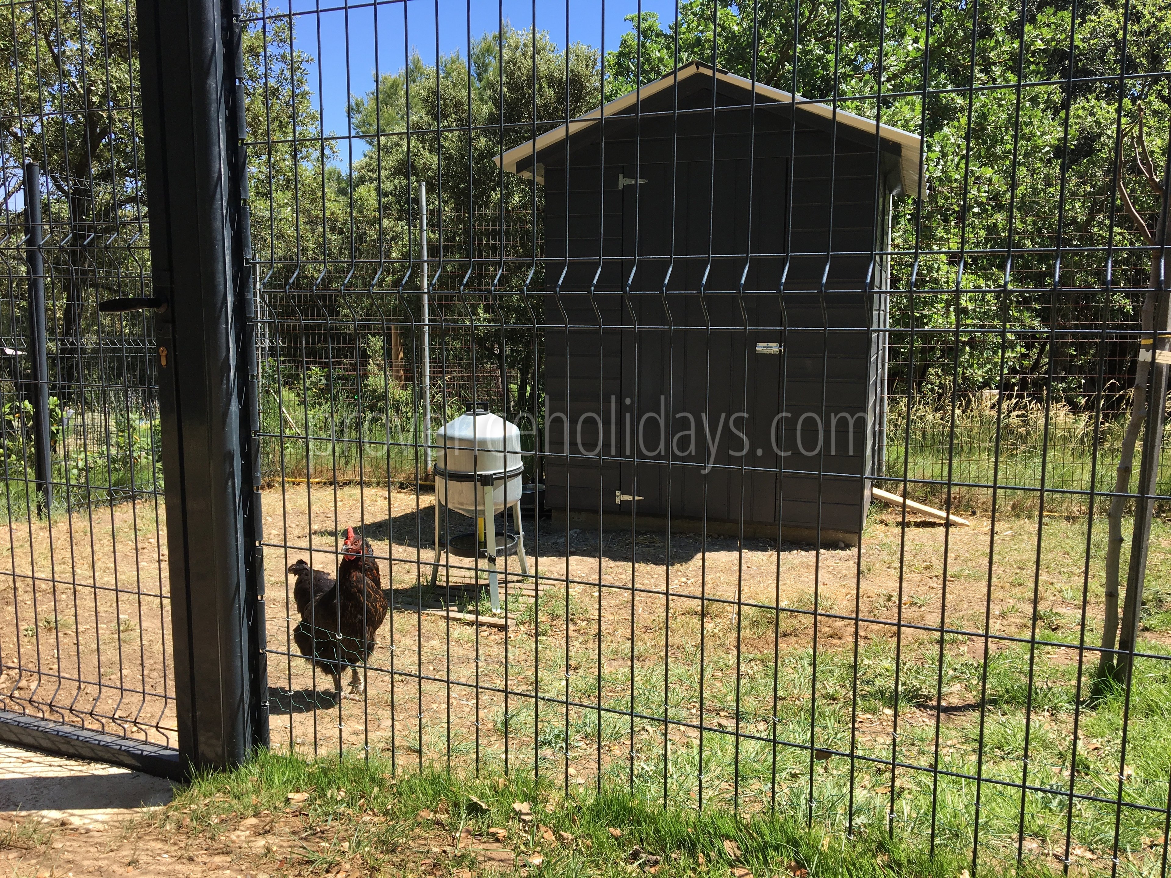 18 - Le Mas Provençal: Villa: Exterior