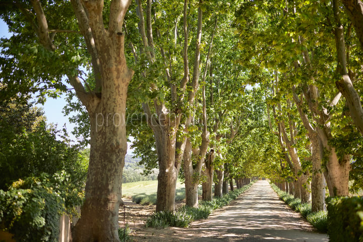 29 - Domaine de Luberon: Villa: Exterior