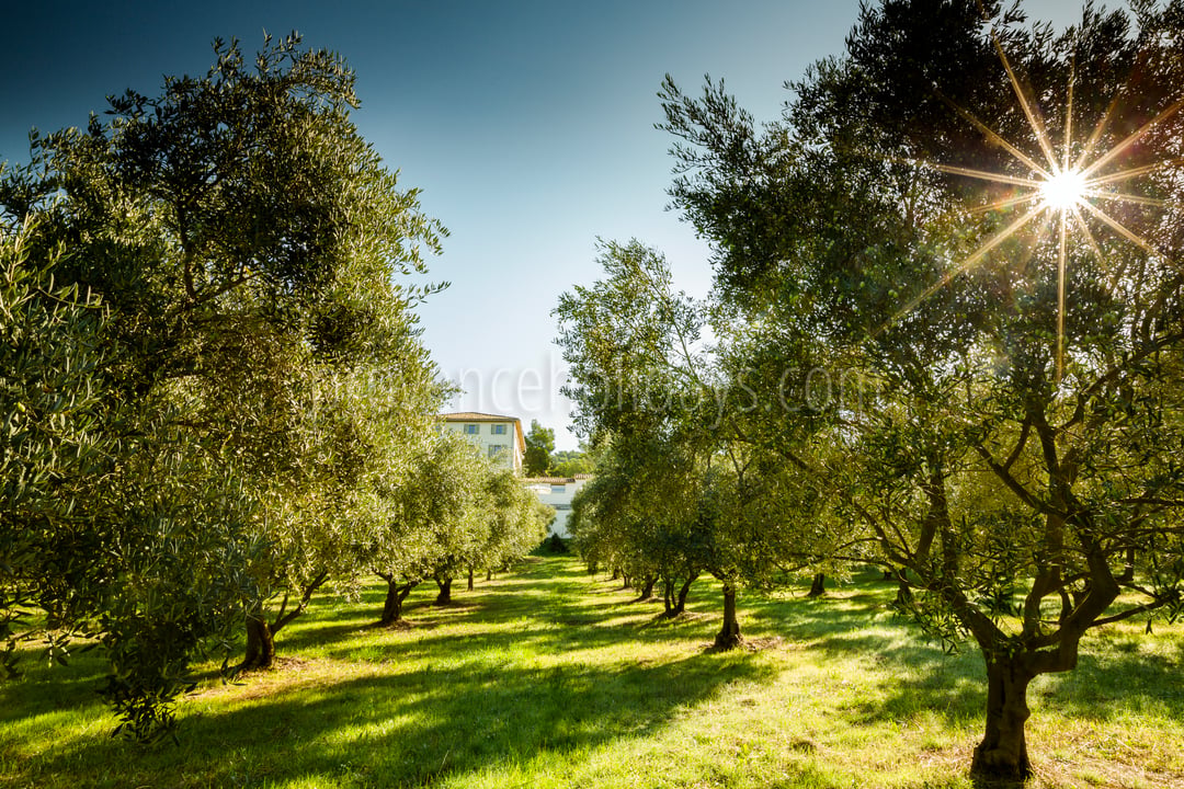 2 - Le Domaine de L\'Or Vert: Villa: Exterior