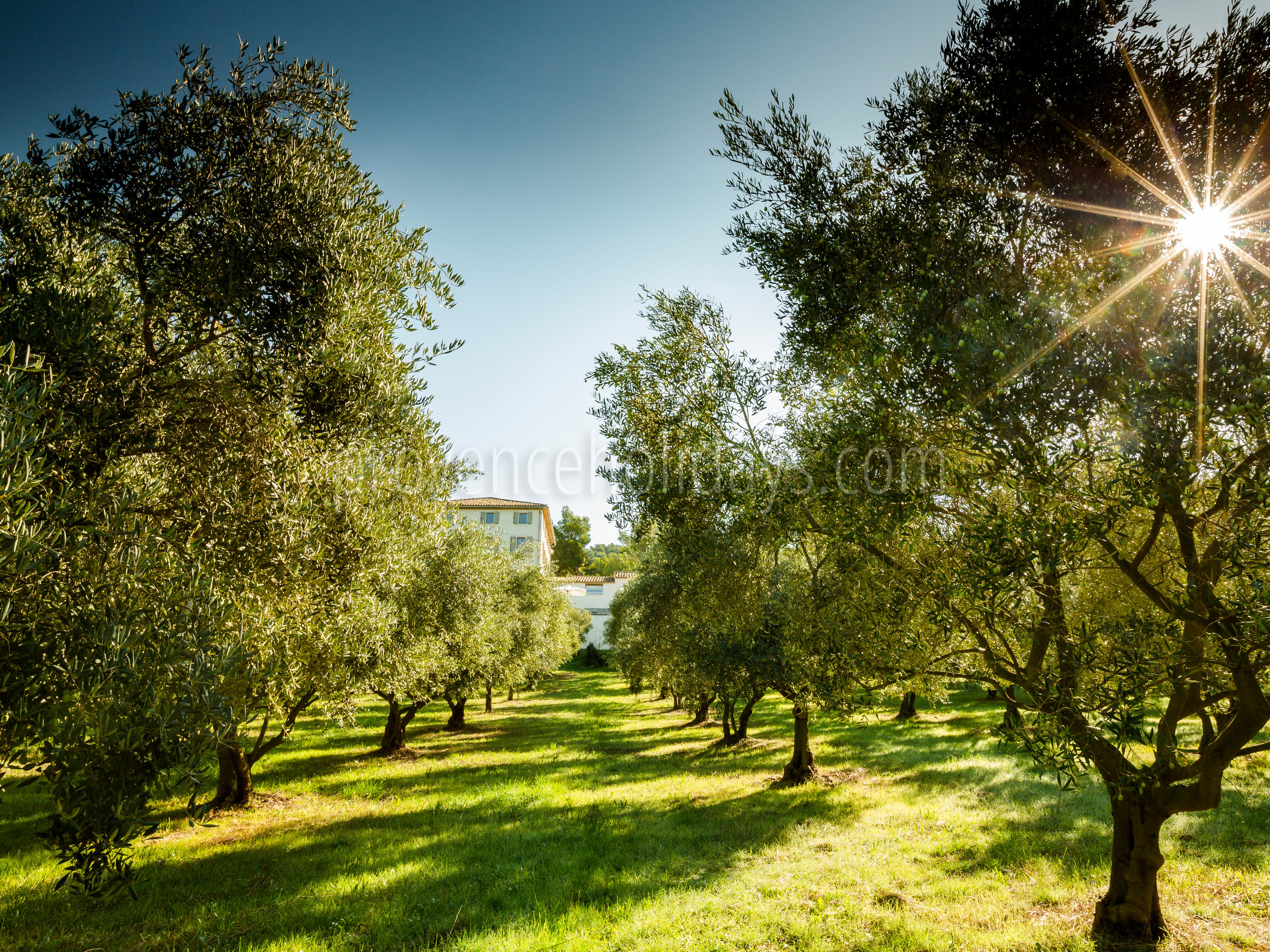 2 - Le Domaine de L\'Or Vert: Villa: Exterior