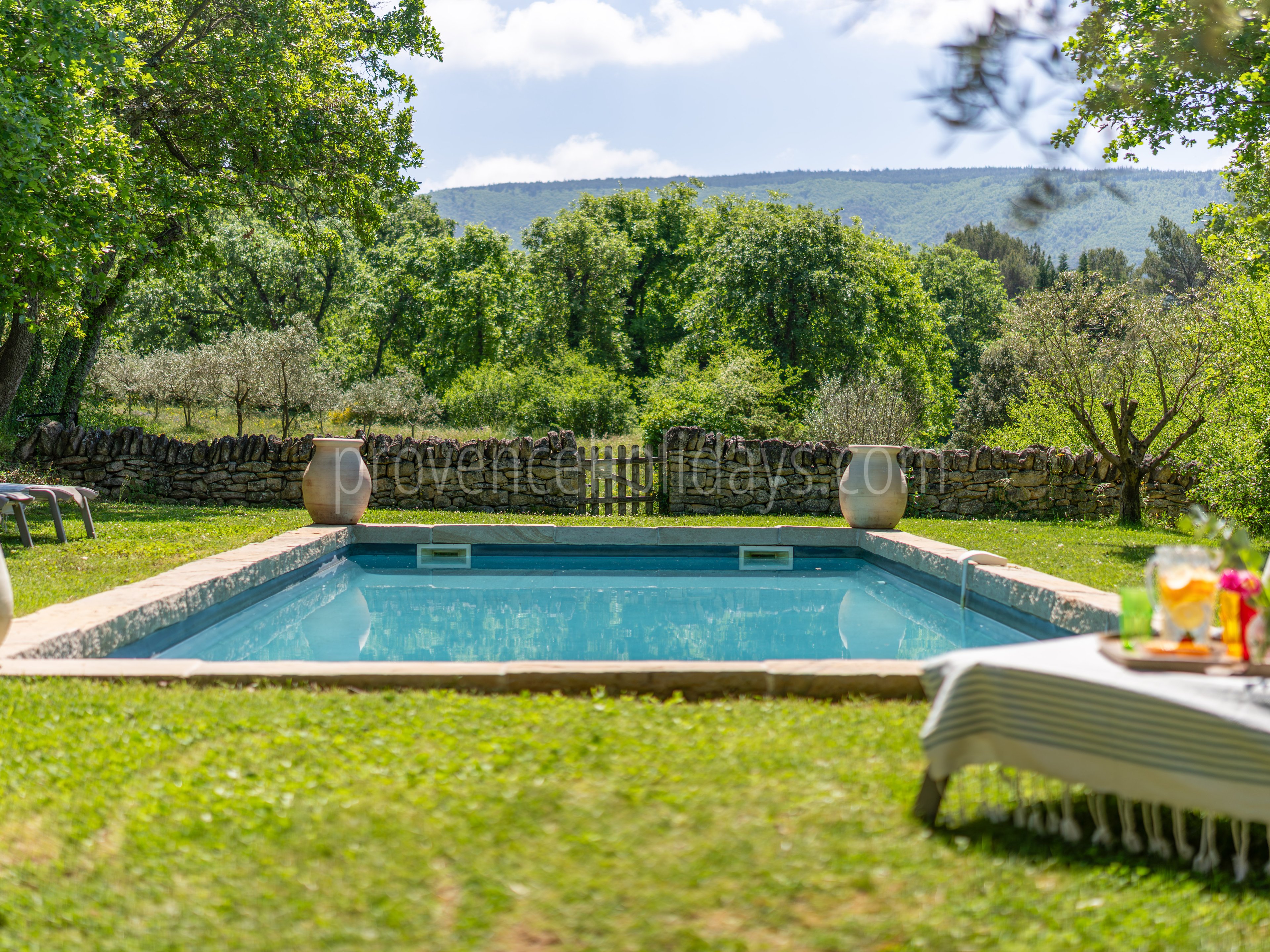 65 - Les Oliviers: Villa: Pool