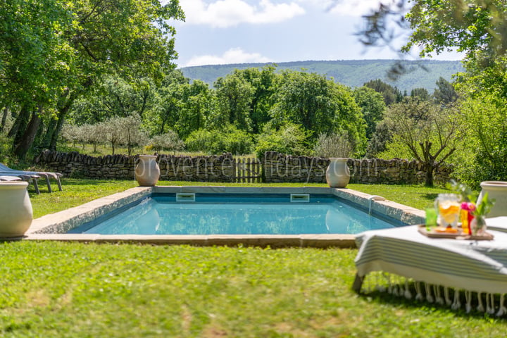 65 - Les Oliviers: Villa: Pool
