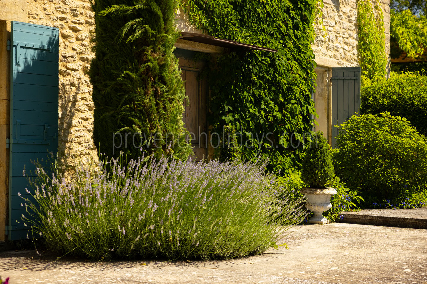 18 - Pine Lodge: Villa: Exterior