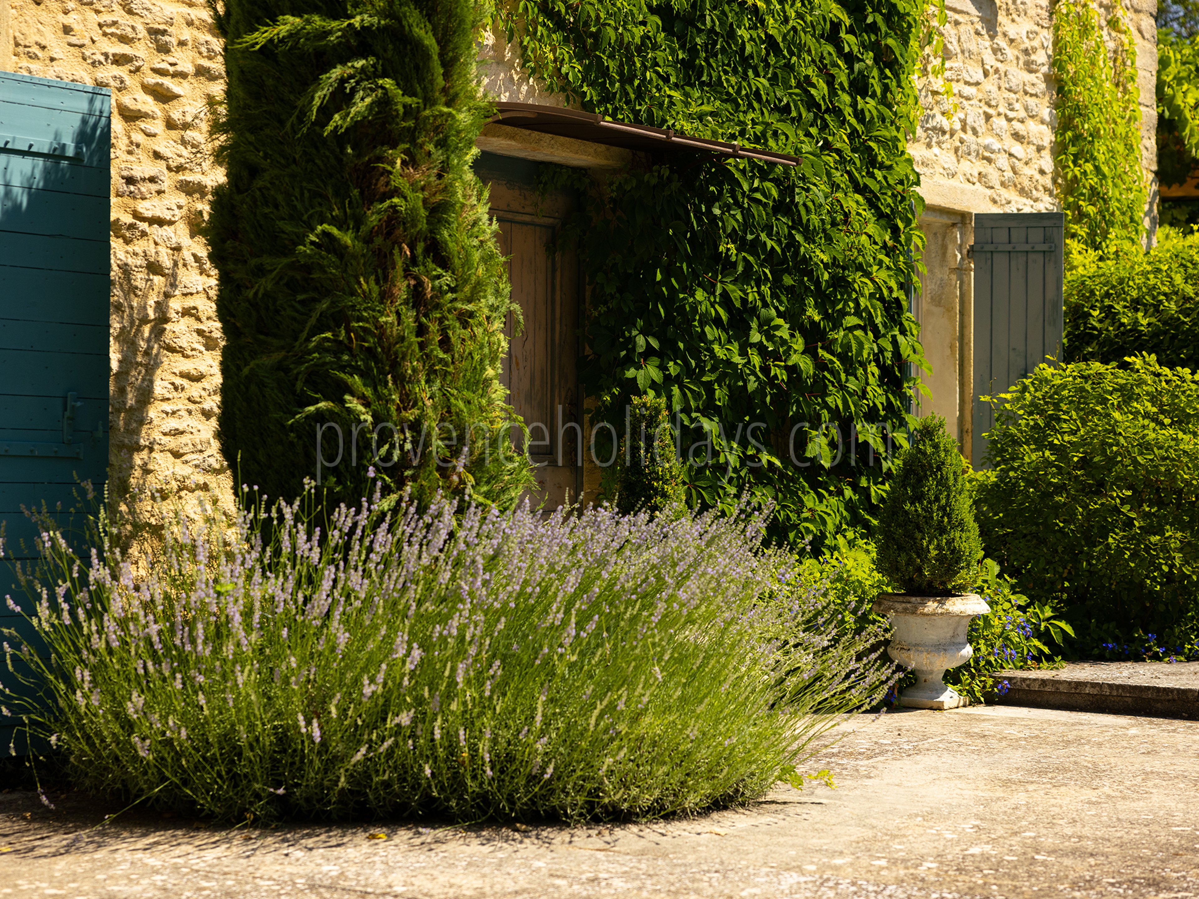 18 - Pine Lodge: Villa: Exterior