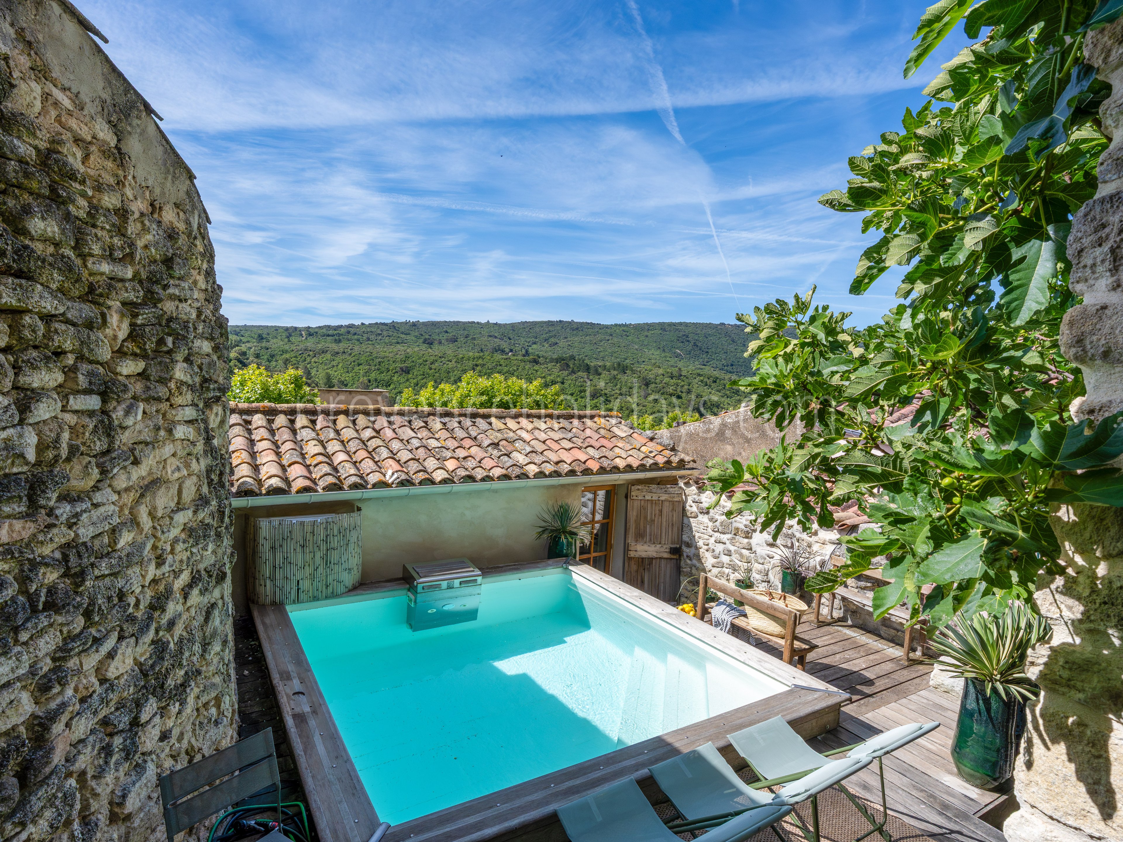 27 - Petite Maison Rochevieille: Villa: Pool