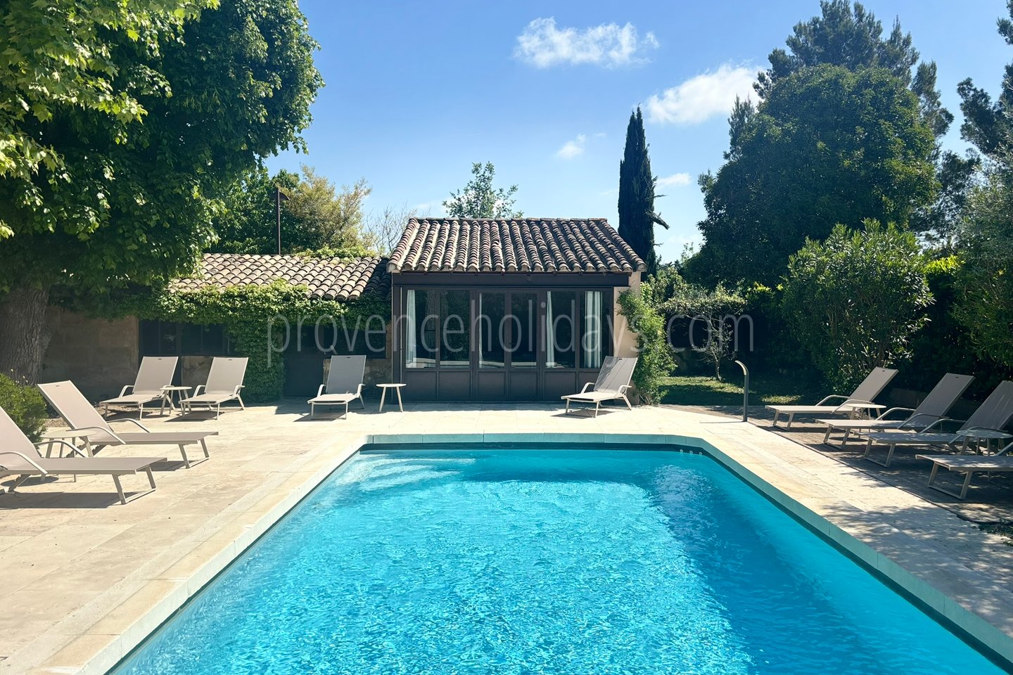 0 - Mas Vigueirat: Villa: Pool