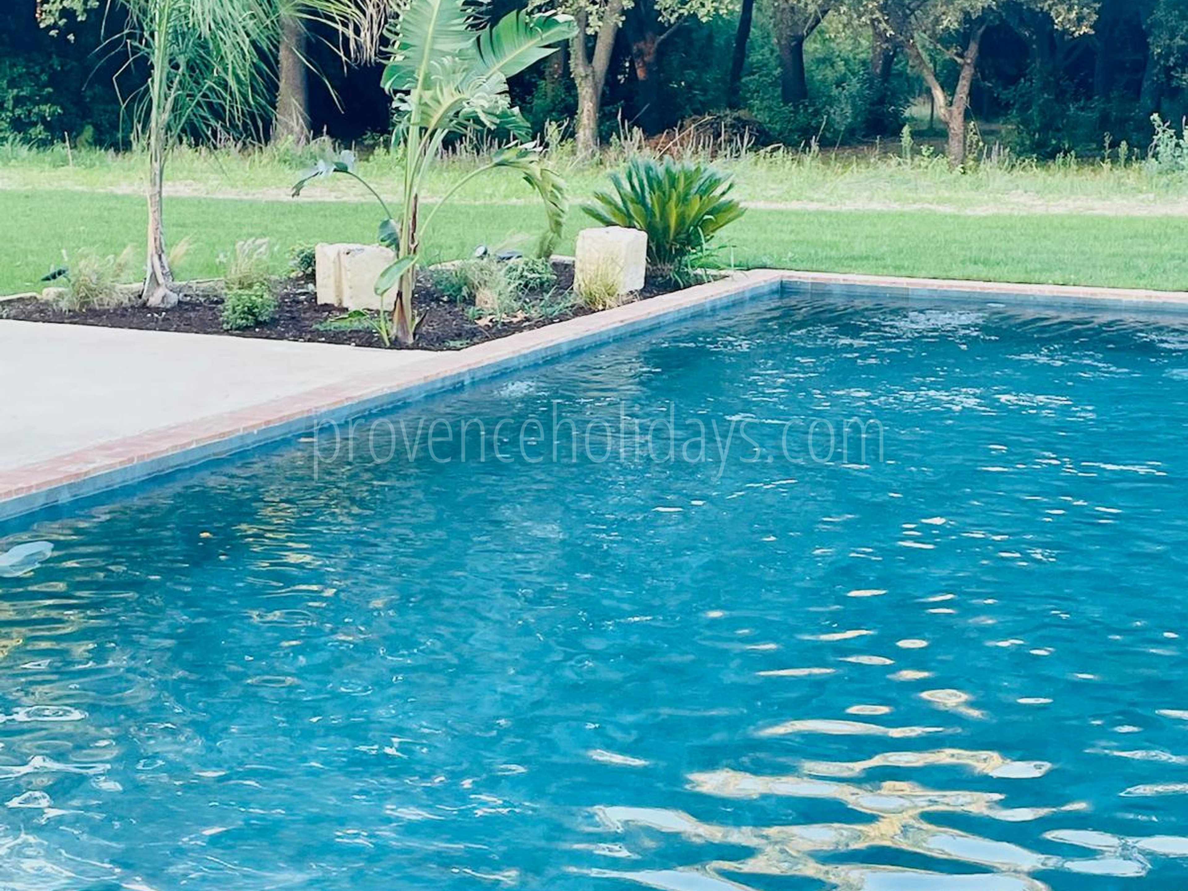 -10 - Domaine du Grand Platane: Villa: Pool