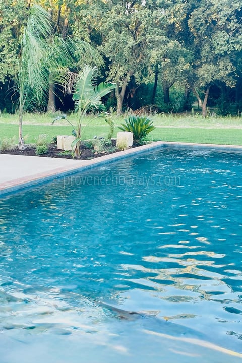 -10 - Domaine du Grand Platane: Villa: Pool