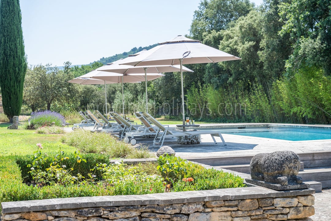 49 - Le Mas aux Gargouilles: Villa: Pool